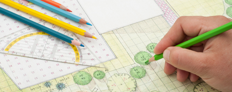 Landscape designer drawing